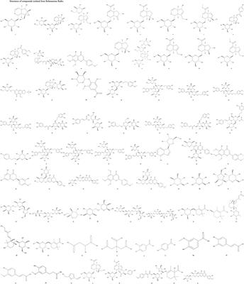 Changes in Rehmanniae Radix processing and their impact on ovarian hypofunction: potential mechanisms of action